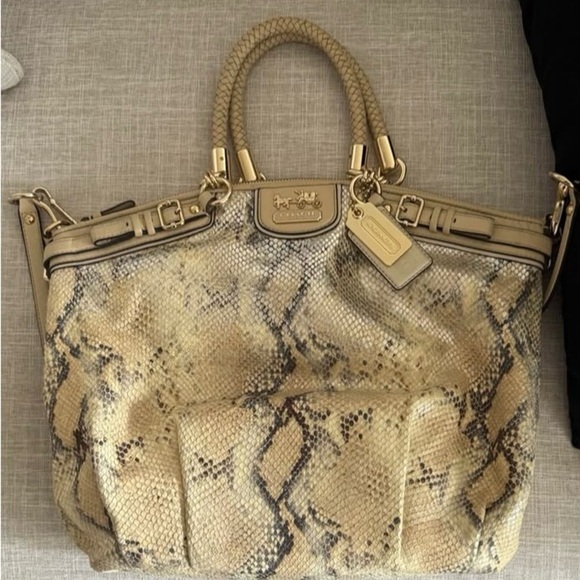 Limited Edition Coach Madison Lindsey python embossed handbag. Authentic - Picture 3 of 6